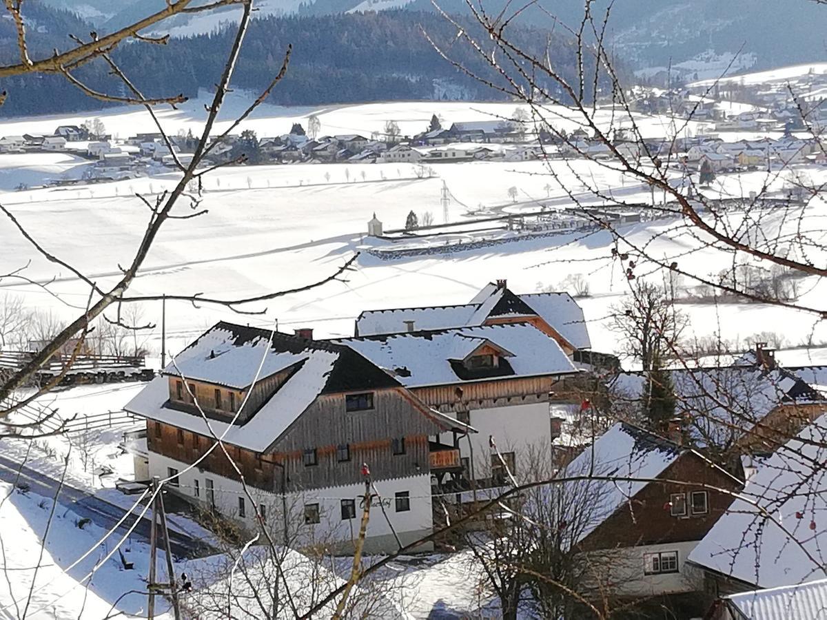 アイゲン・イム・エンスタール Ortnerhof Ennstal Bed & Breakfast エクステリア 写真